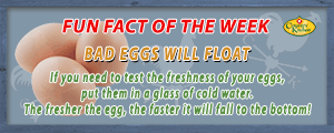 The fresher the egg, the faster it will fall to the bottom of a glass of water