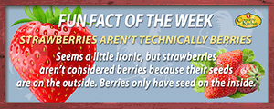 Strawberries' seeds are on the outside so they are not technically berries