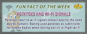 Boeing used potatoes as substitutes for human bodies when testing out its in-flight wi-fi
