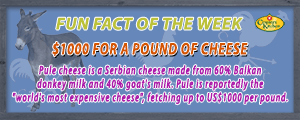 Pule cheese is made form donkey and goat milk and costs up to 1000 dollars per pound