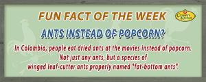 Colombians eat dried ants instead of popcorn at the movies